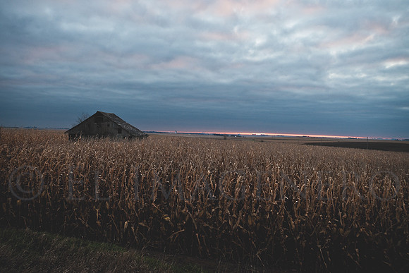 The Barn That Absalom Built, at Dawn