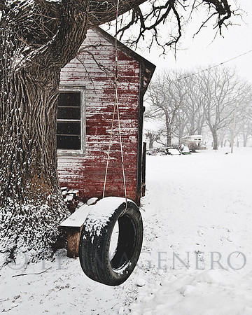 Tire Swing in Winter