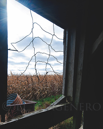 Chikenwire Before Chickenwire was Cool