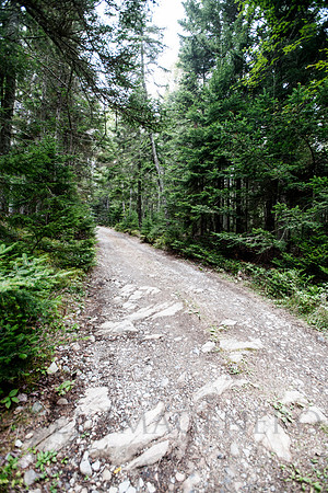 Bumpy Road