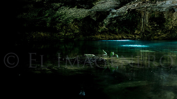 Cave Light